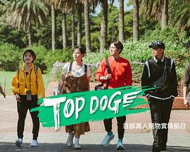 青青草视频《TOP DOG》免费在线观看