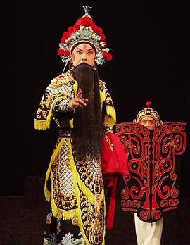 香草传媒《袁崇焕2009》免费在线观看