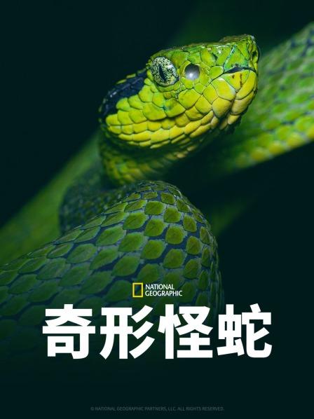 香草传媒《奇形怪蛇》免费在线观看